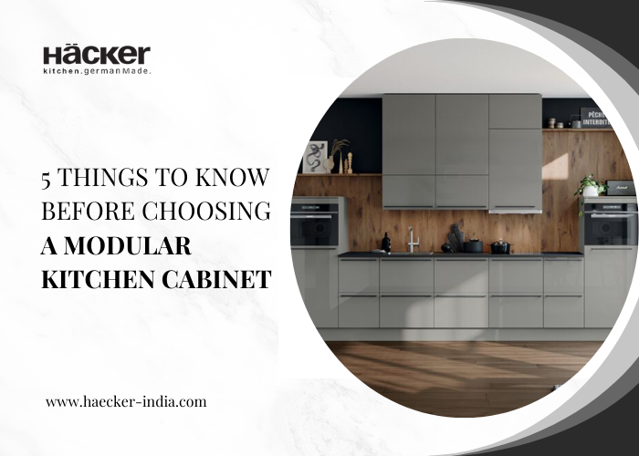 5 Things to Know Before Choosing a modular kitchen cabinet